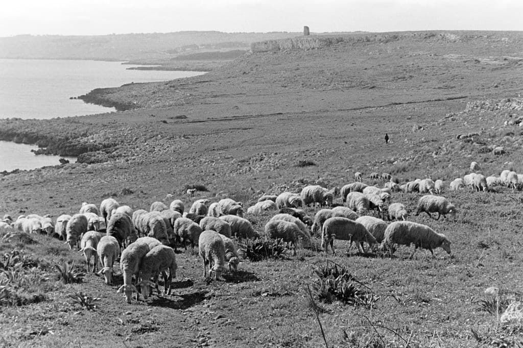 Ouverture de la saison avec Francesca de Santa Domenica